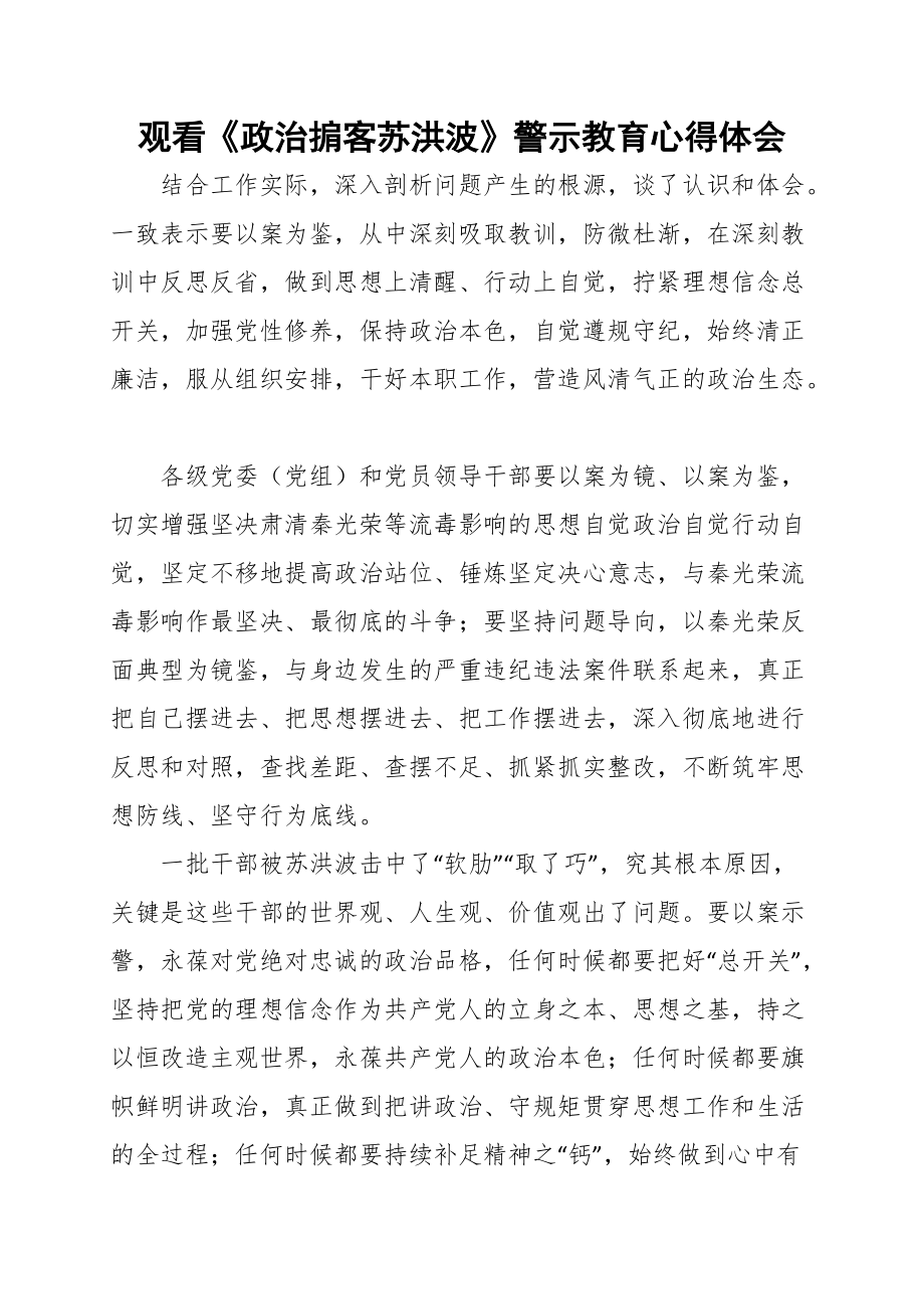 观看《政治掮客苏洪波》警示教育心得体会范文_第1页