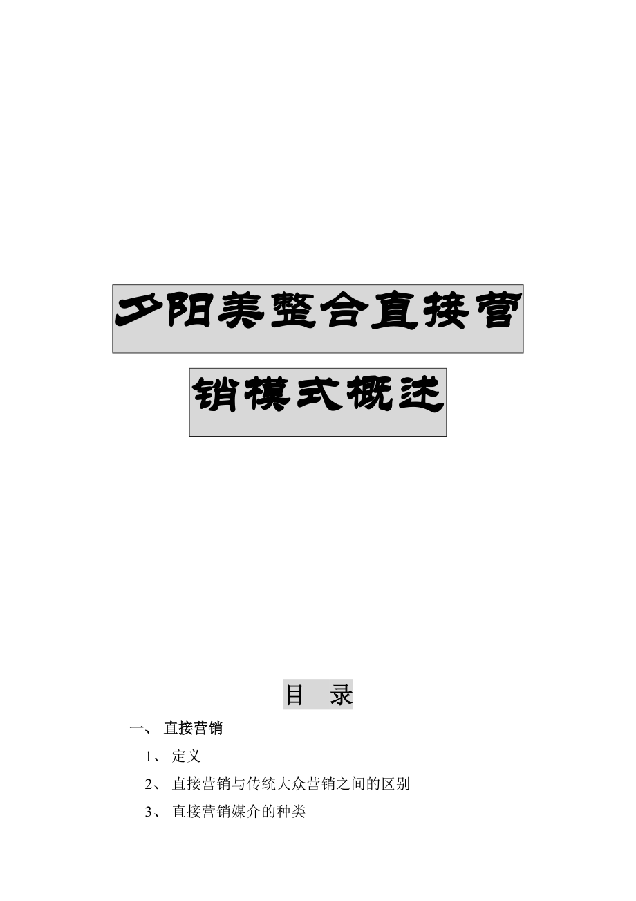 某公司整合直接营销模式概述分析_第1页