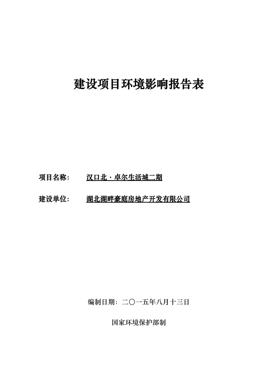 汉口北卓尔生活城二期环境影响报告表_第1页