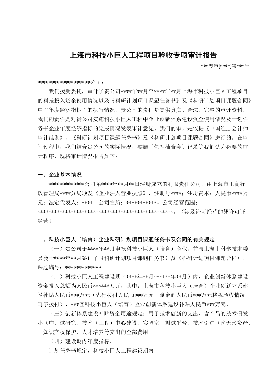 上海市科技小巨人工程项目验收专项审计报告_第1页