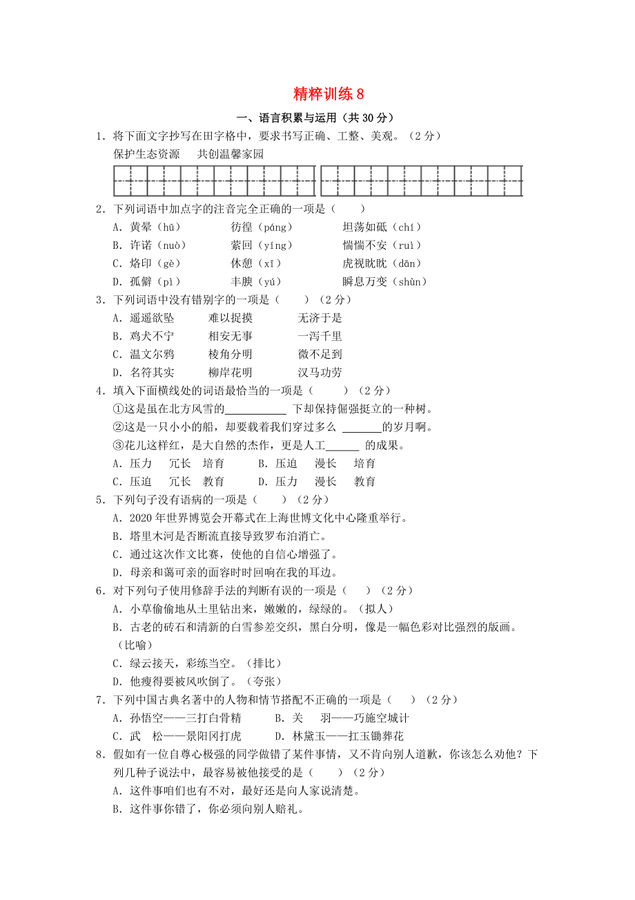 2021中考语文精粹试题训练8湖南专用_第1页