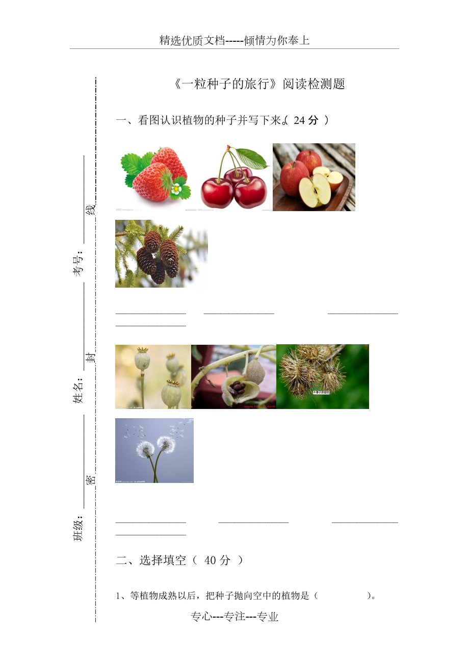 一粒种子的旅行测试题(共3页)_第1页