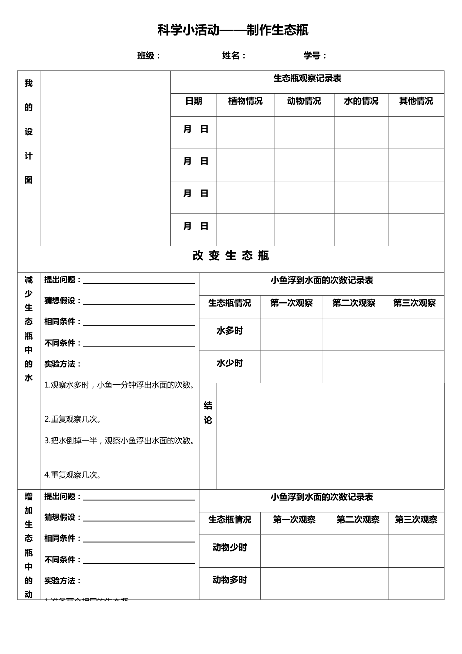 生态瓶的观察报告图图片