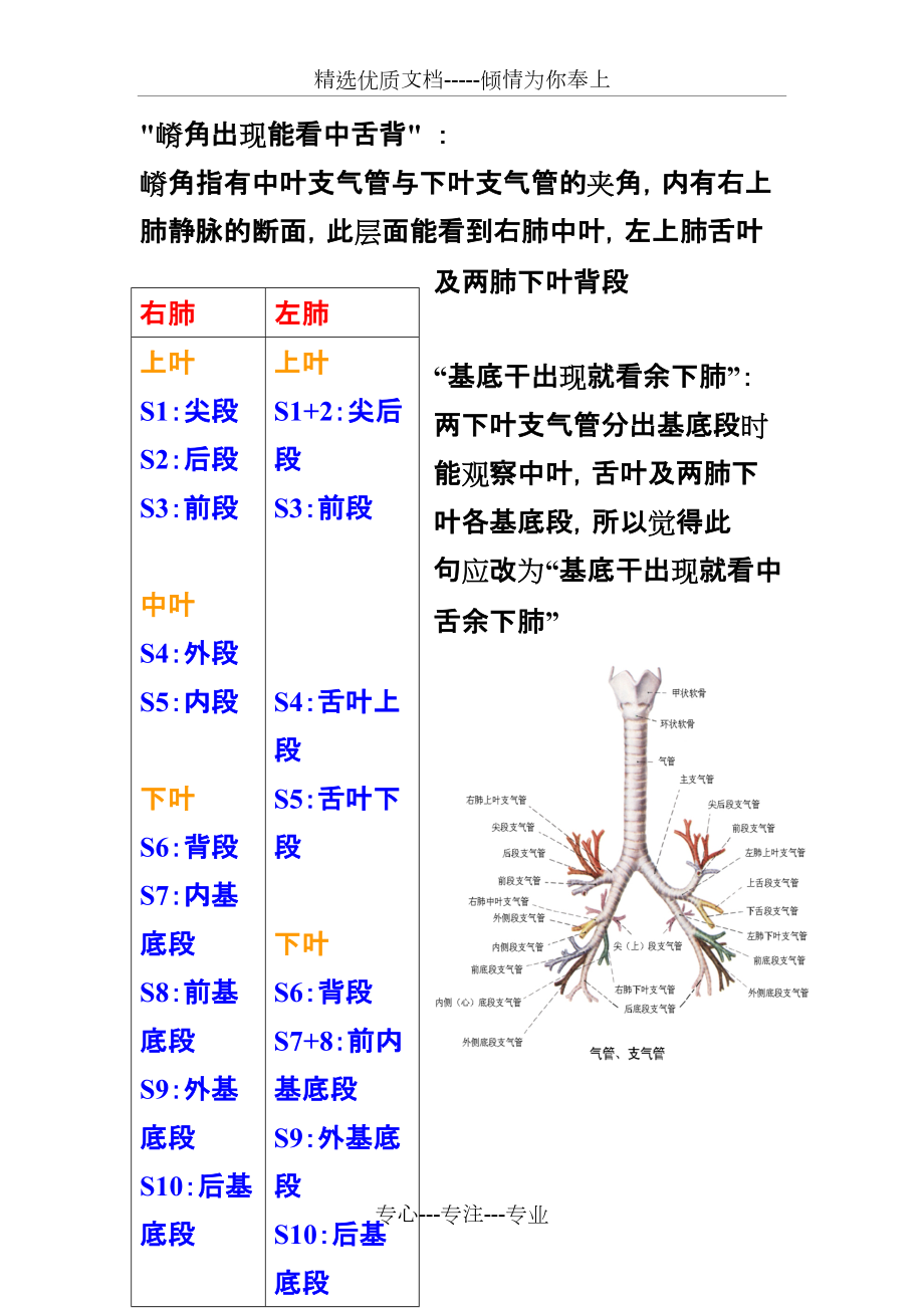 胸部ct口诀:肺的分段(图解)(共6页)