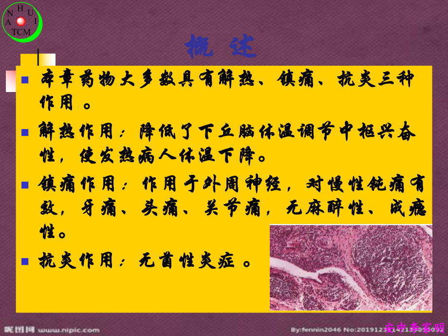 第九章解熱鎮痛藥非甾體抗炎藥antipyreticana