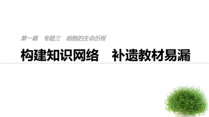 專題三構(gòu)建知識網(wǎng)絡(luò)補(bǔ)遺教材遺漏