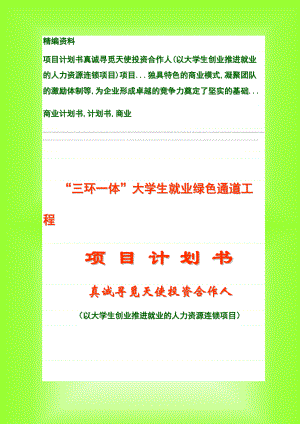 天使投資合作計劃書doc項目商業(yè)計劃書