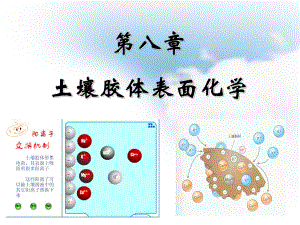 第八章土壤膠體表面化學(xué)