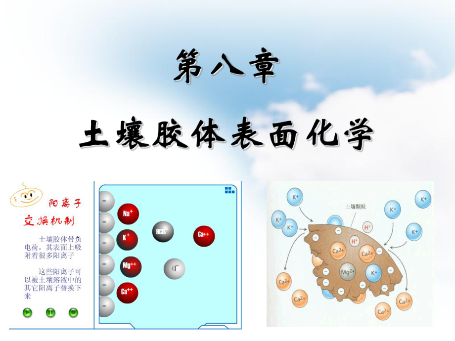 第八章土壤膠體表面化學_第1頁