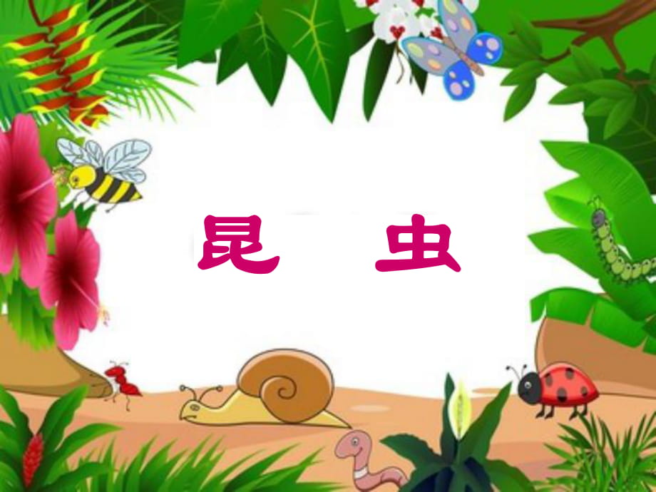 三年級(jí)下冊(cè)科學(xué)課件 - 第三單元我們來養(yǎng)蠶 昆蟲湘教版（一起）_第1頁(yè)