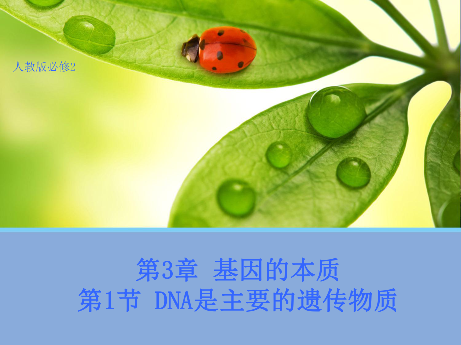 3.1DNA是主要的遺傳物質(zhì) 1_第1頁