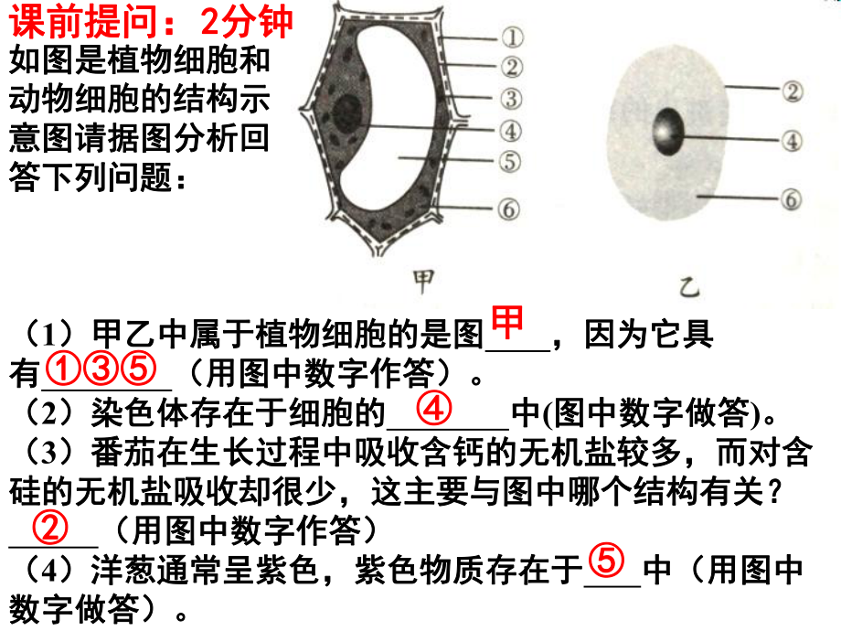 3.3 細(xì)胞通過分裂而增殖_第1頁