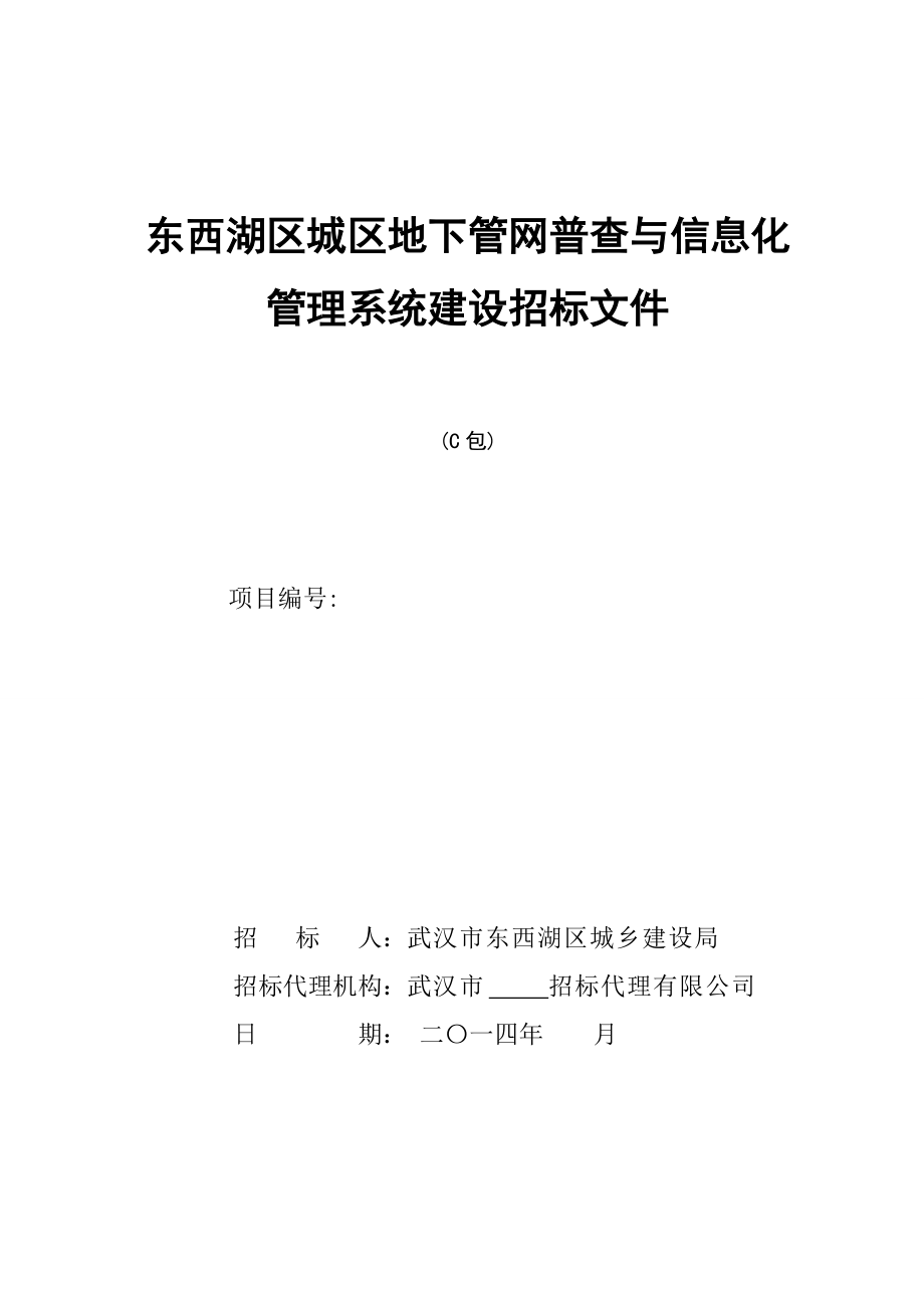 东西湖区城区地下管网普查与信息化管理系统建设招标文件(c包监理)_第1页