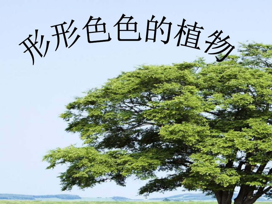 四年級(jí)上冊(cè)語(yǔ)文課件－ 16《形形色色的植物》｜冀教版(共18張PPT)_第1頁(yè)