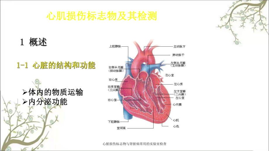 常用的心肌标志物图片