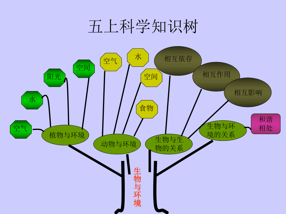 五上科学知识树