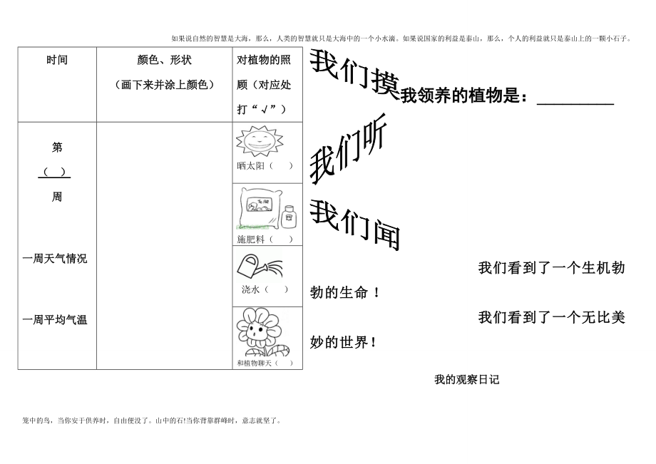 小學植物生長觀察記錄表