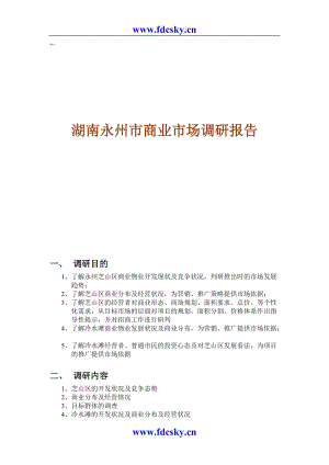 2005年湖南永州商业市场调研报告