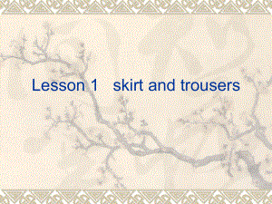 四年級(jí)上冊(cè)英語(yǔ)課件 lesson 1skirt and trousers_冀教版