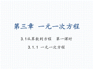 人教版數(shù)學(xué)七年級上冊3.1.1 一元一次方程 (共27張PPT)