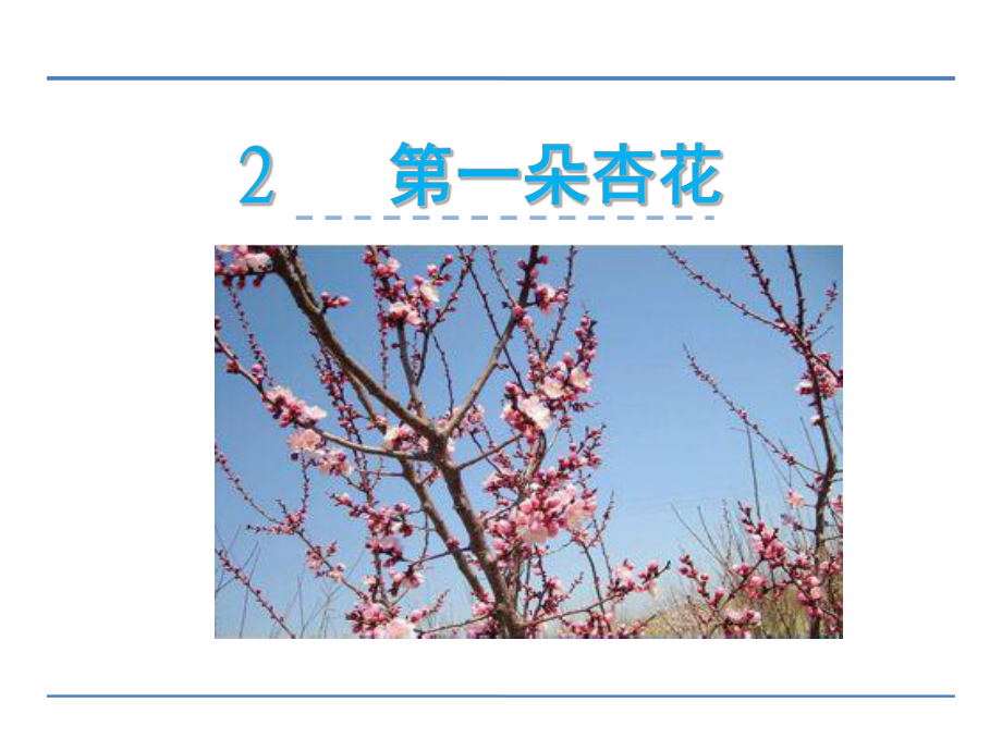 四年級(jí)下冊(cè)語(yǔ)文課件-1 走我們?nèi)ブ矘?shù) (2)(共22張PPT)_蘇教版_第1頁(yè)