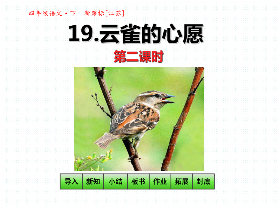 四年級(jí)語(yǔ)文下冊(cè)課件-19云雀的心愿第2課時(shí)(共30張PPT)_蘇教版_第1頁(yè)