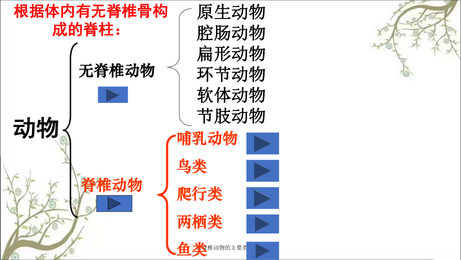 无脊椎动物的主要类群最新