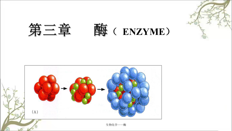 生物化学酶