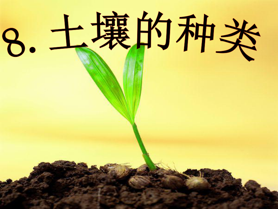 青岛版小学四年级科学下册第八课土壤的种类PPT_第1页