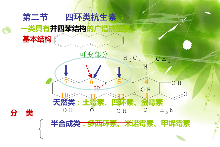 四环素类抗生素概述_第1页