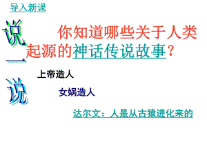 第1課《祖國境內(nèi)的遠(yuǎn)古居民》課件(新人教版七年級上)0909084056706