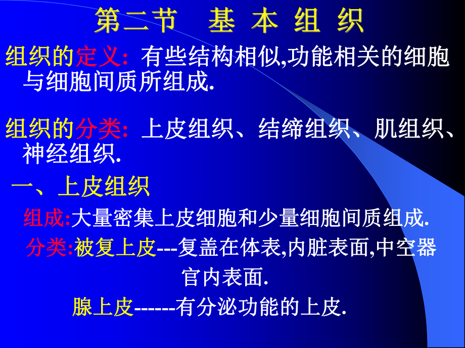 人體各主要部分的解剖 基本組織_第1頁(yè)