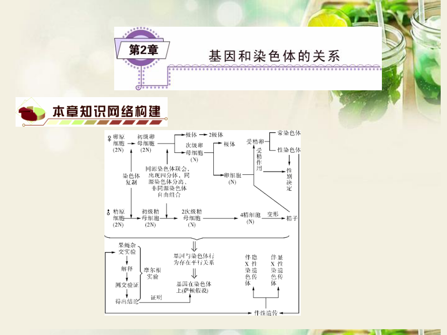 非同源染色體上的非等位基因自由組合_第1頁(yè)