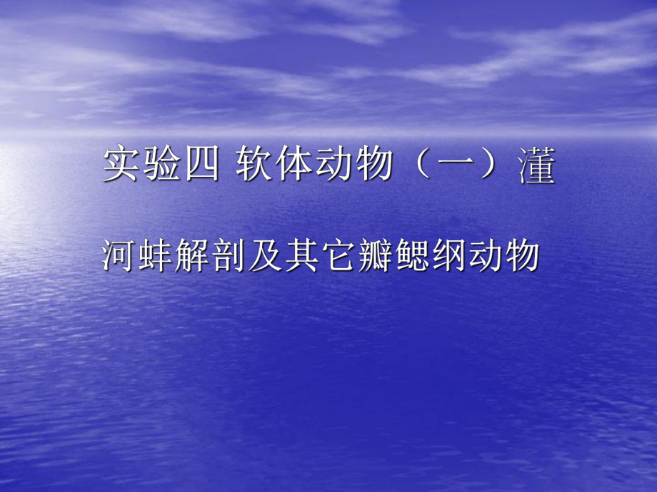 河蚌解剖及其它瓣鳃纲动物_第1页