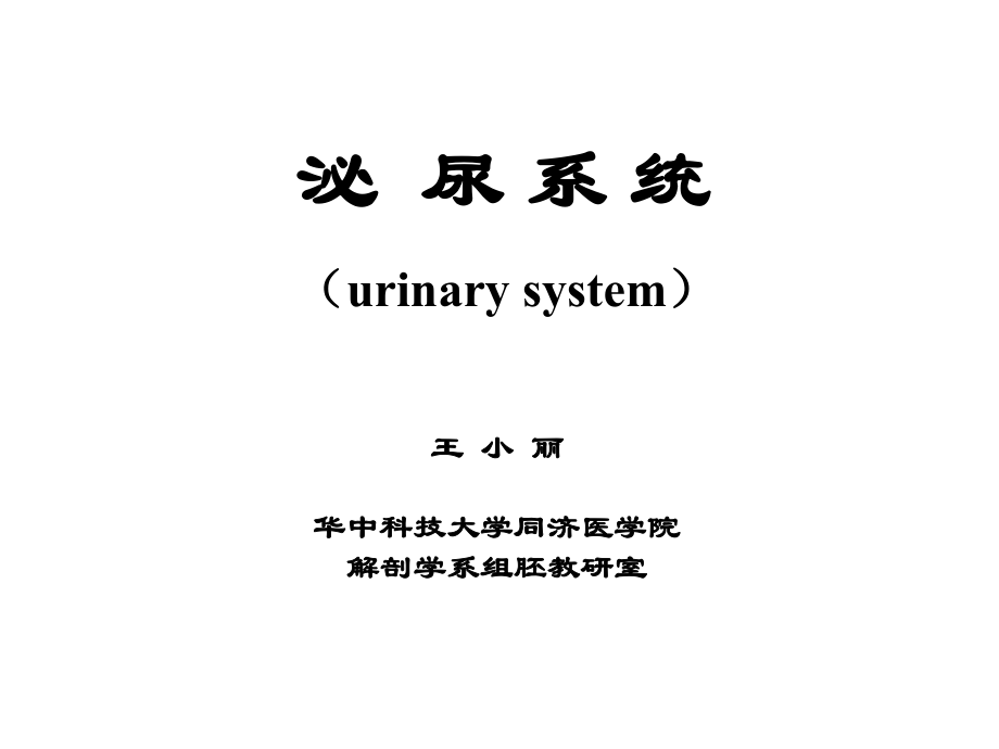 組織學(xué)與胚胎學(xué) 10泌尿系統(tǒng)_第1頁(yè)