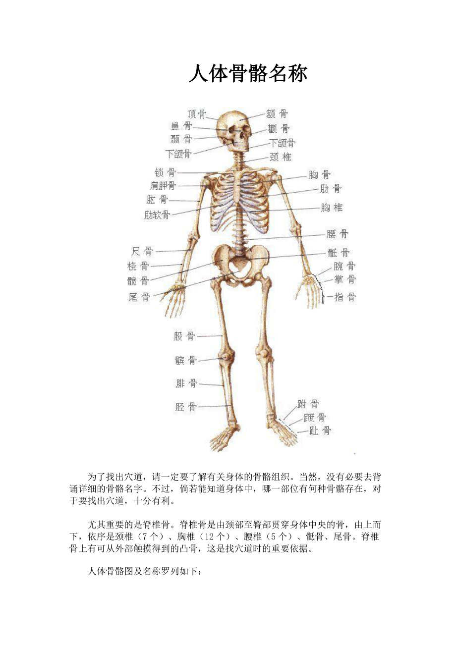 人体骨骼名称