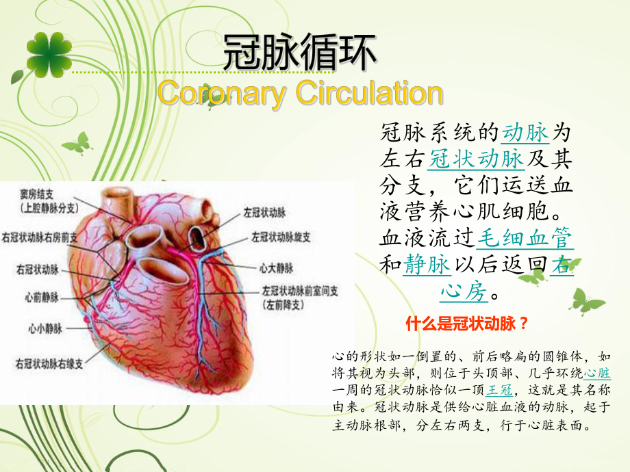 冠脉循环图解示意图图片