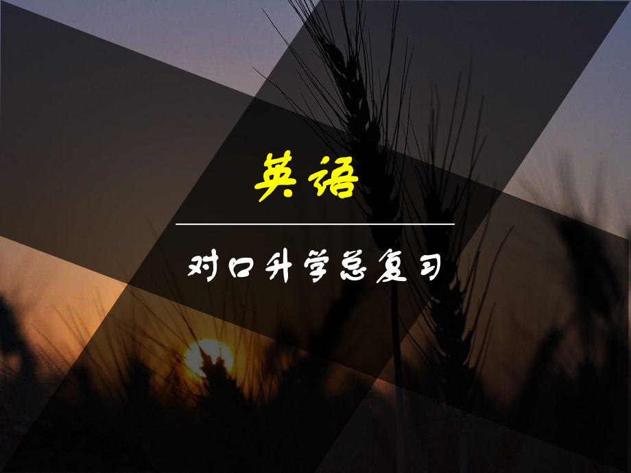 對(duì)口高職英語總復(fù)習(xí)專題4 補(bǔ)全對(duì)話_第1頁