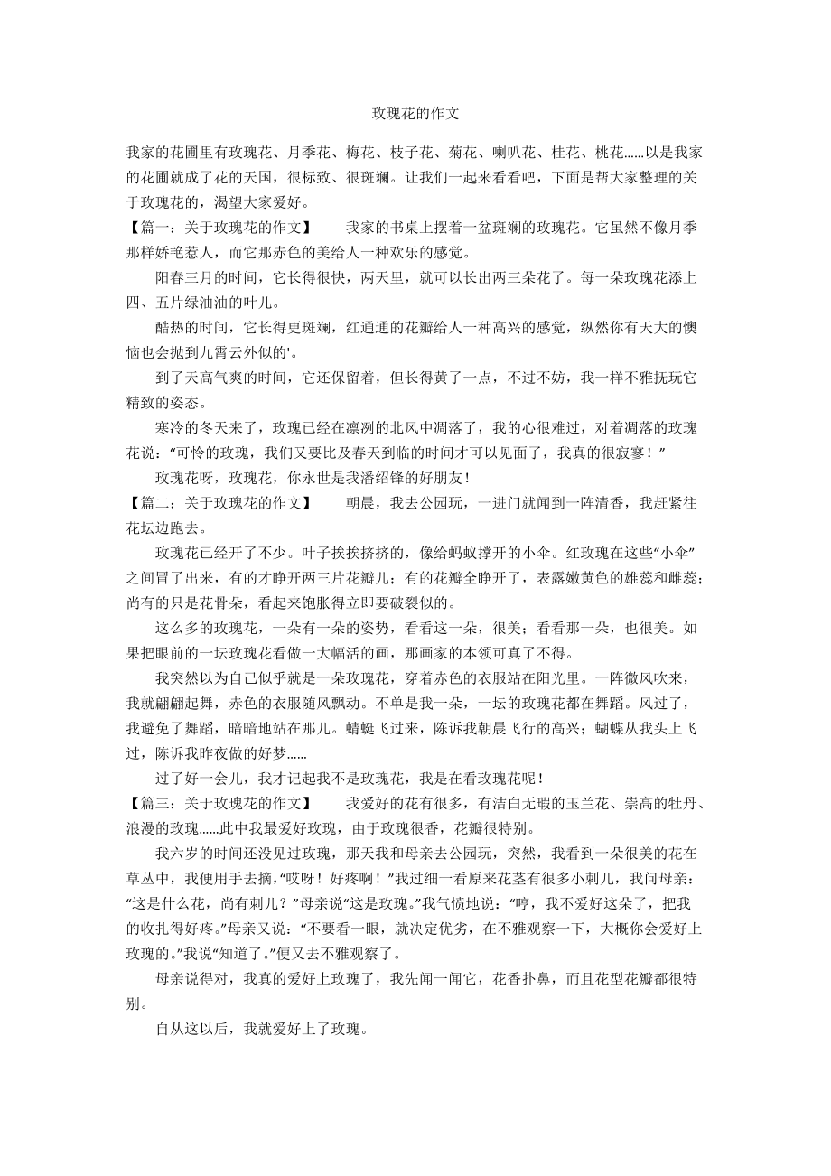 玫瑰花作文400字图片