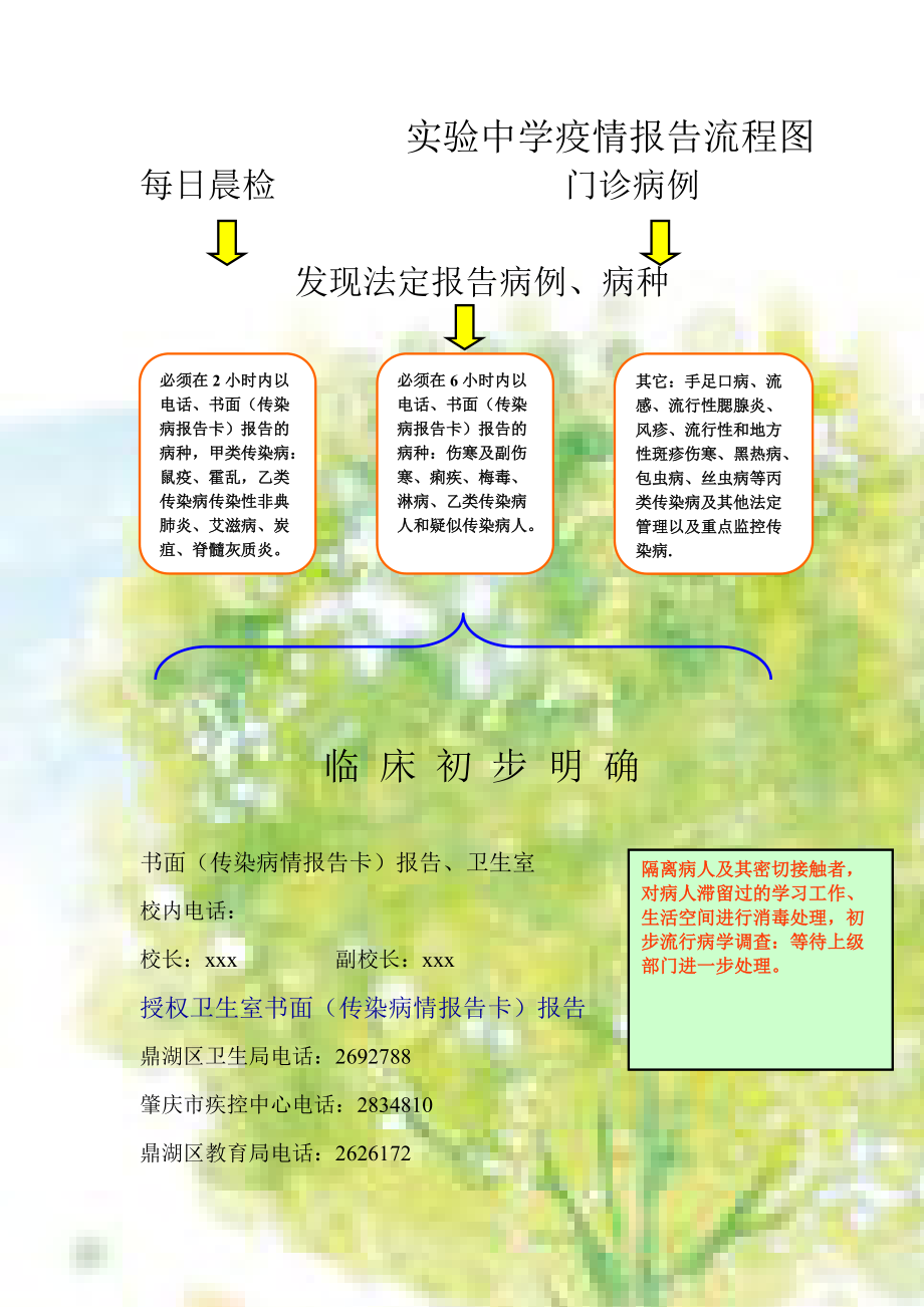 疫情报告流程_第1页