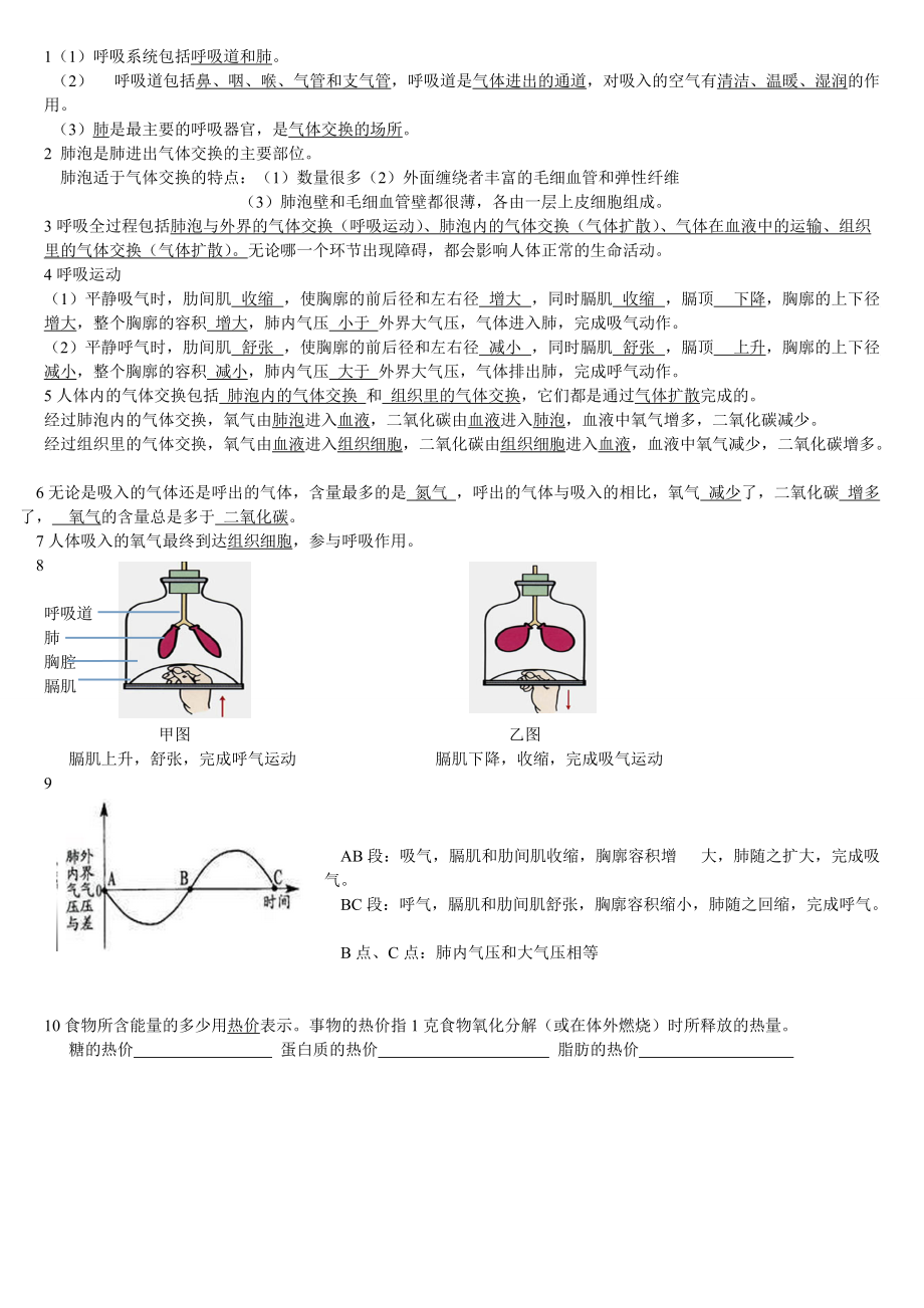 人體與外界的氣體交換 (重要知識點)_第1頁