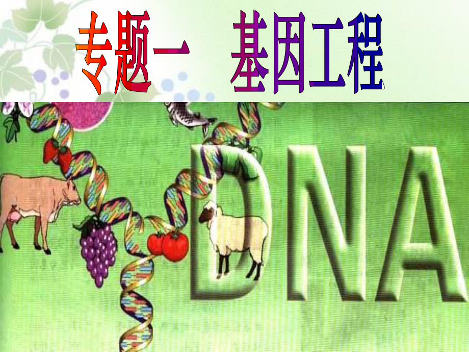 选修三11《DNA重组技术的基本工具》_第1页