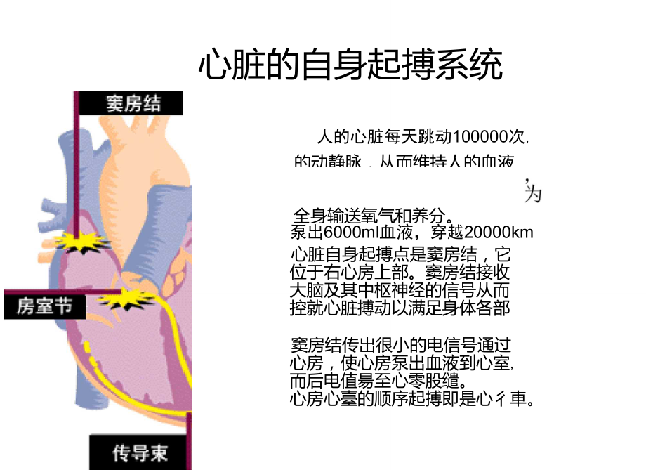 人工心臟起搏器的隨訪患者教育