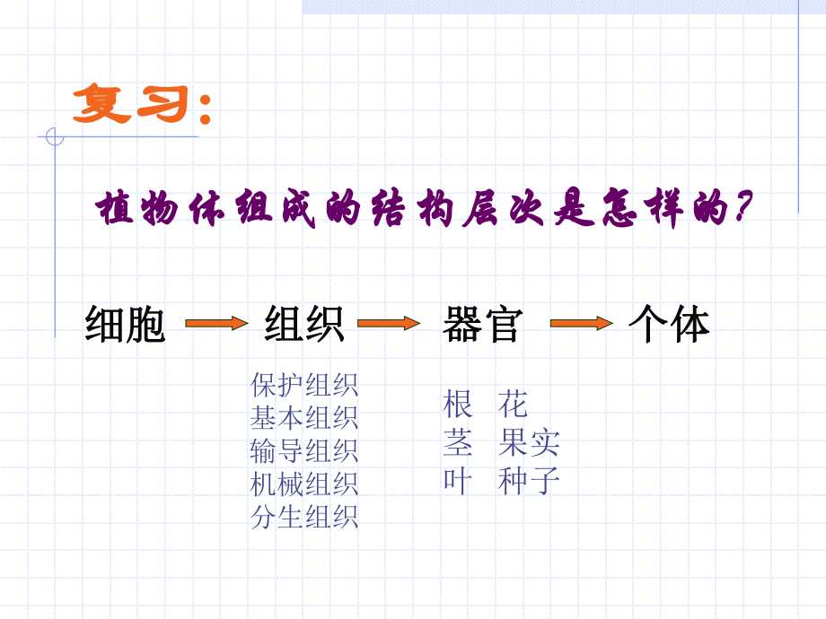 生物七年級蘇科版 第2節(jié) 人體的組成 (共21.ppt)_第1頁