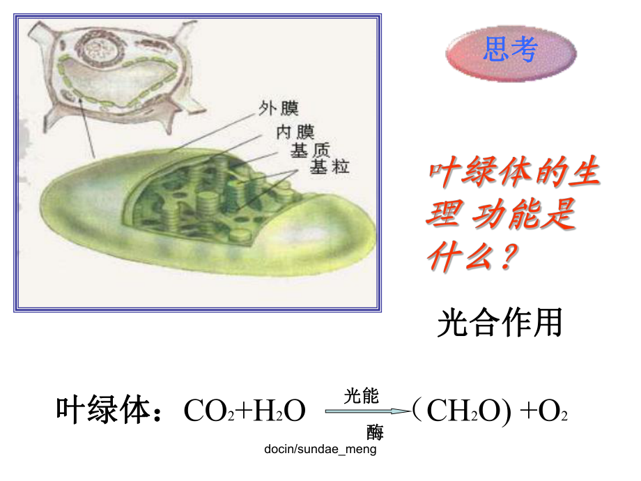 【中學課件】細胞的物質代謝_第1頁