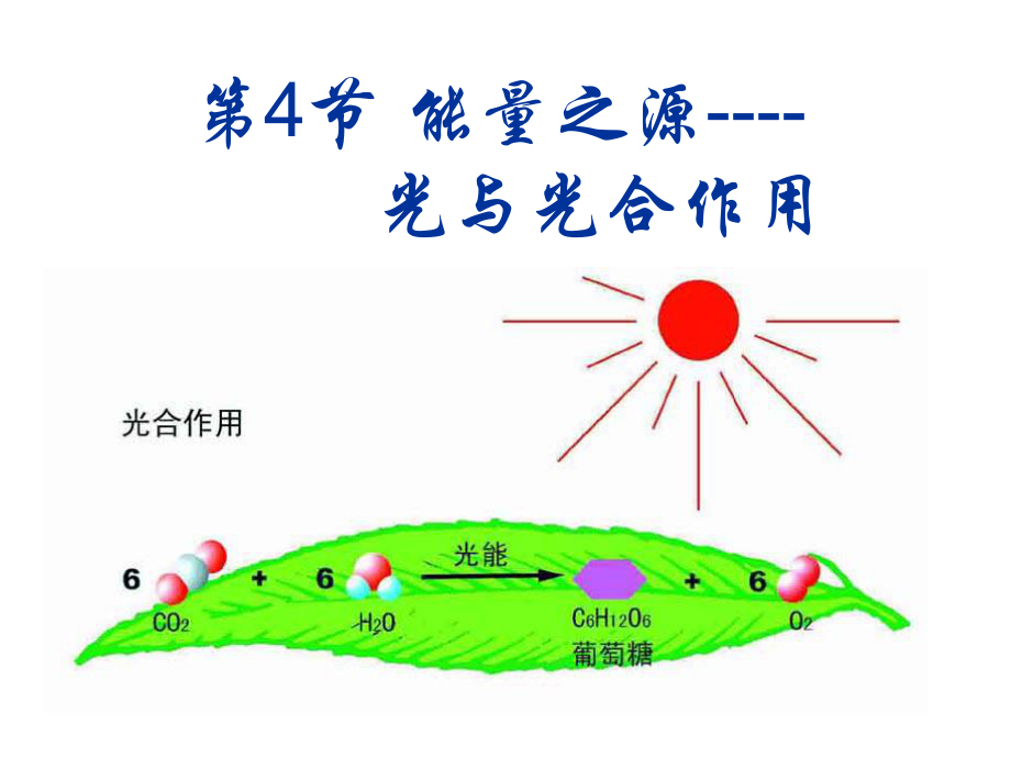 光合作用课件_第1页