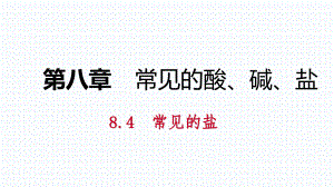 8.4第2課時(shí)鹽的化學(xué)性質(zhì)復(fù)分解反應(yīng)發(fā)生的條件