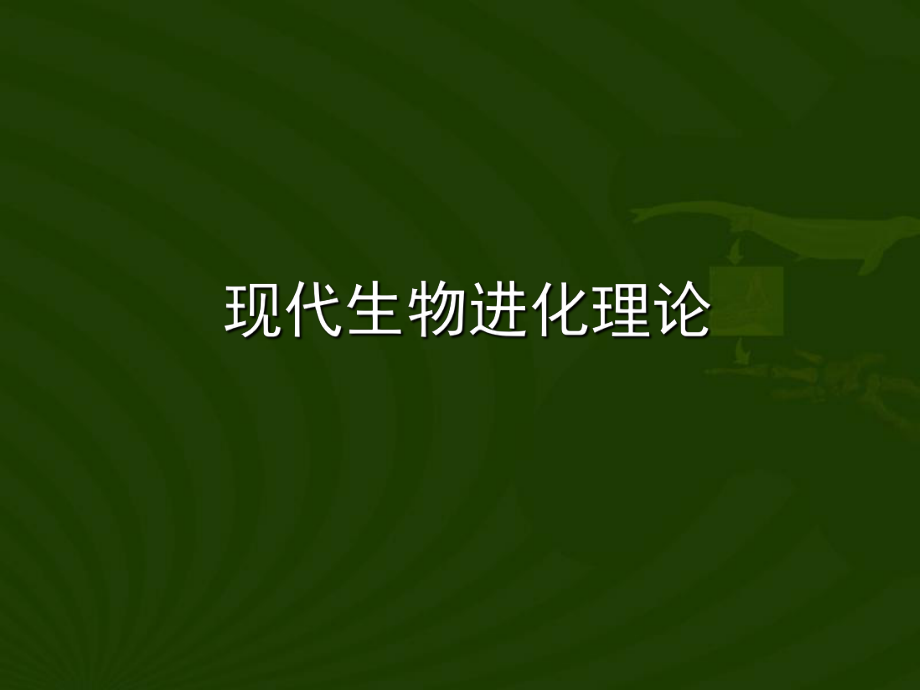 《現(xiàn)代生物進化理論的由來》課件 (1)_第1頁