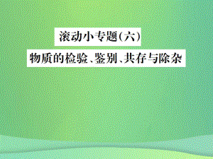 （全國通用）中考化學(xué)總復(fù)習(xí) 滾動小專題（六）物質(zhì)的檢驗(yàn)、鑒別、共存與除雜課件