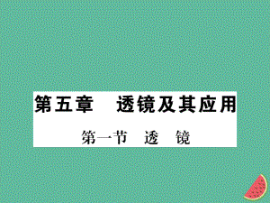 （湖北專用）八年級(jí)物理上冊(cè) 第五章 第1節(jié) 透鏡習(xí)題課件 （新）新人教